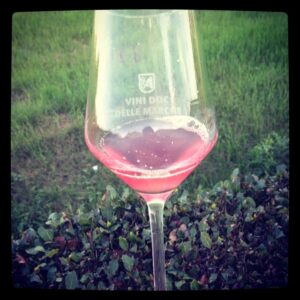 vino rosato grezzo 2013